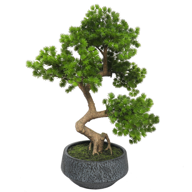 World Menagerie 21" Artificial Bonsai Plant in Planter & Reviews Wayfair